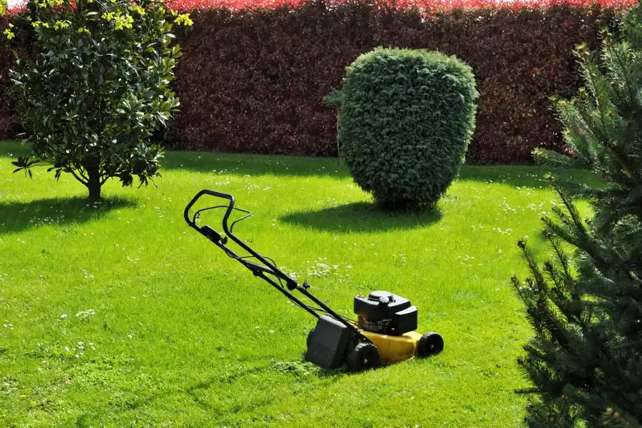 Lawn Mowing